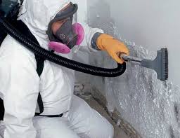 Best Real Estate Mold Inspection  in Highwood, IL